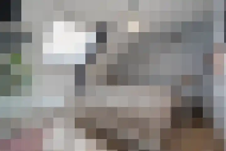 De Gaffel 37 Den Ham thumbnail 21