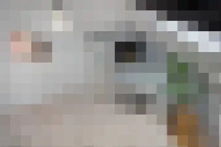 De Gaffel 37 Den Ham thumbnail 22
