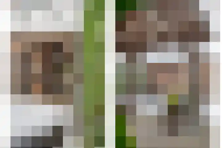 De Gaffel 37 Den Ham thumbnail 34