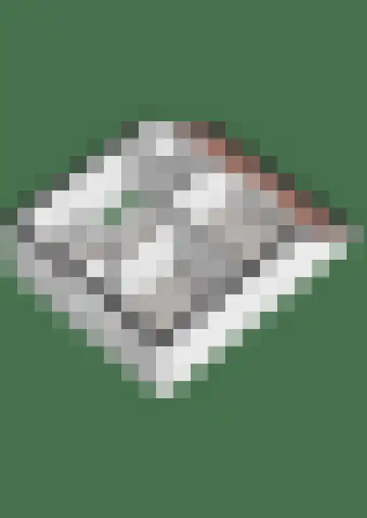 De Gaffel 37 Den Ham thumbnail 40
