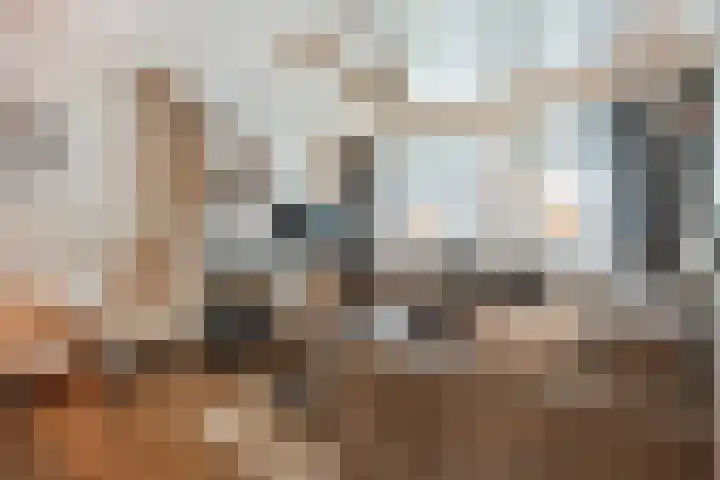 De Gaffel 37 Den Ham thumbnail 8