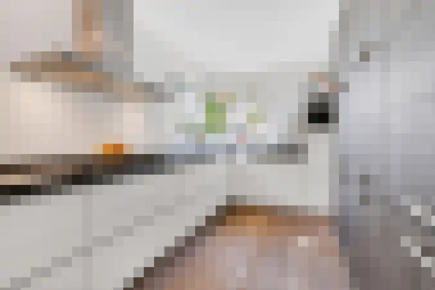 De Gaffel 8 Veldhoven thumbnail 18