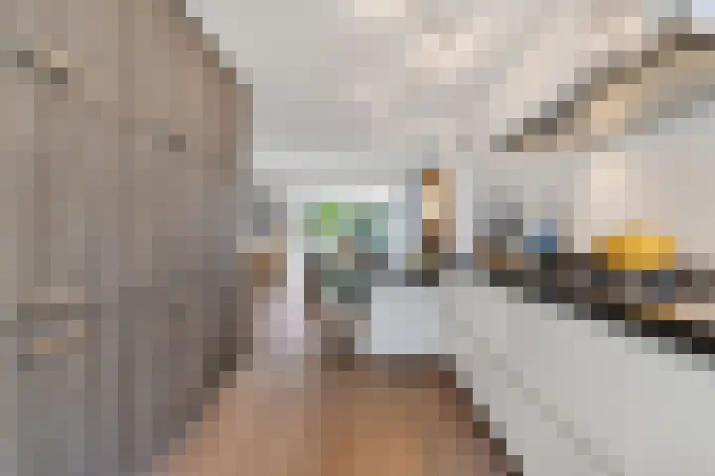 De Gaffel 8 Veldhoven thumbnail 22