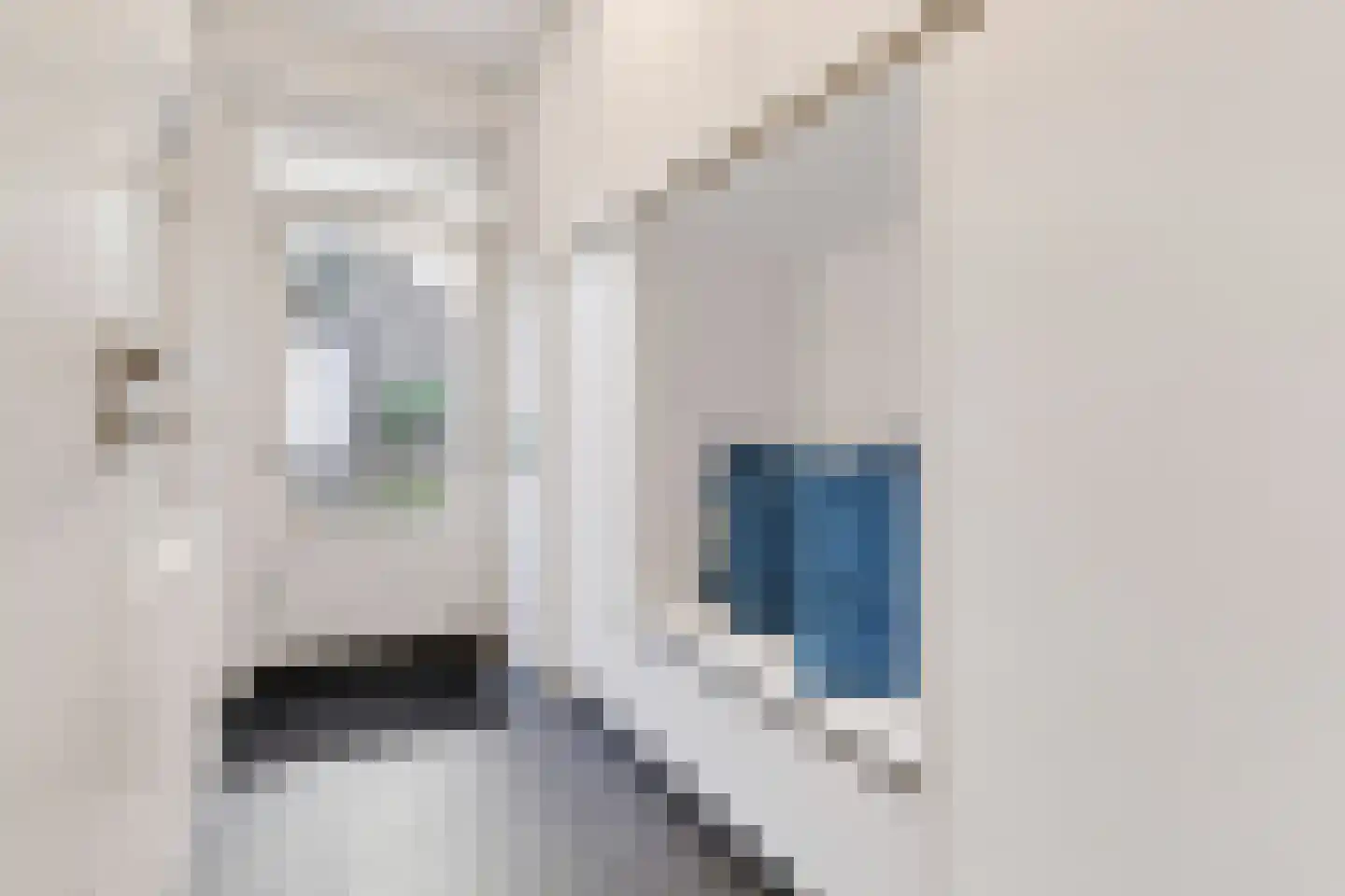 De Gaffel 8 Veldhoven thumbnail 26