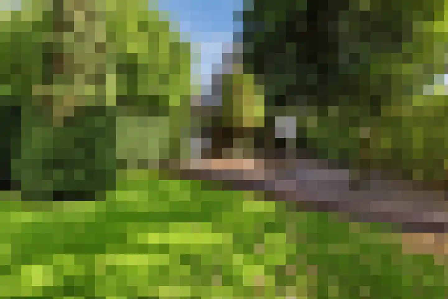 De Gaffel 8 Veldhoven thumbnail 52