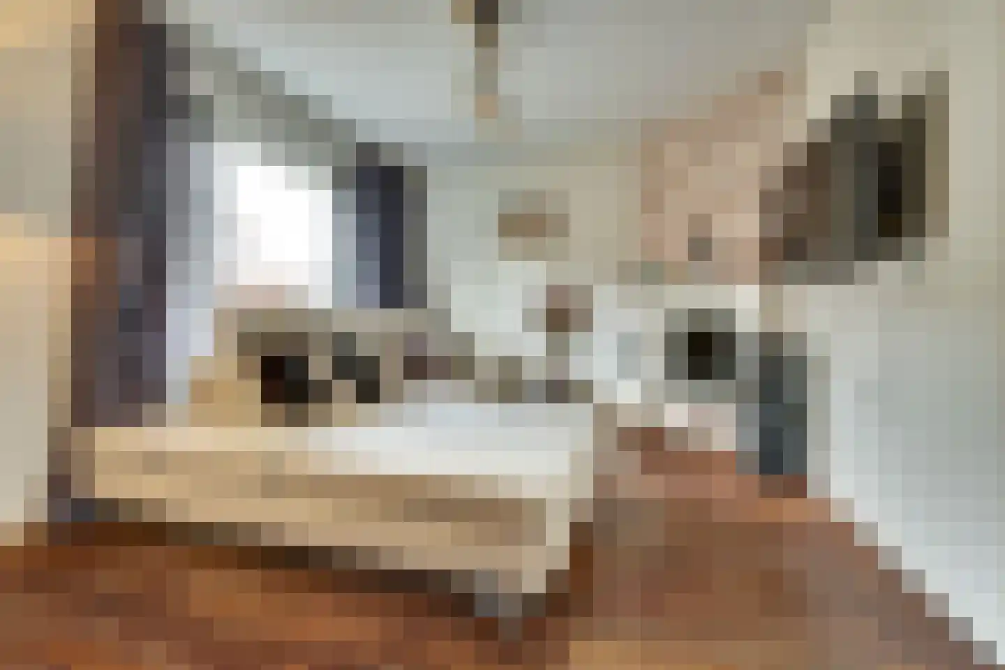 De Gagelaar 7 Kapelle thumbnail 10