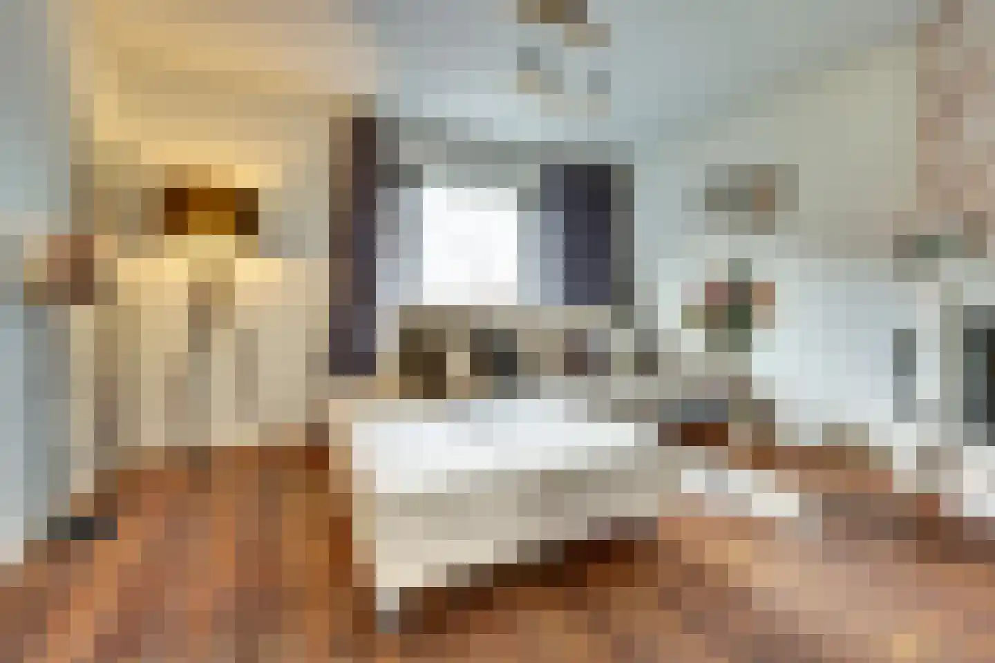 De Gagelaar 7 Kapelle thumbnail 12