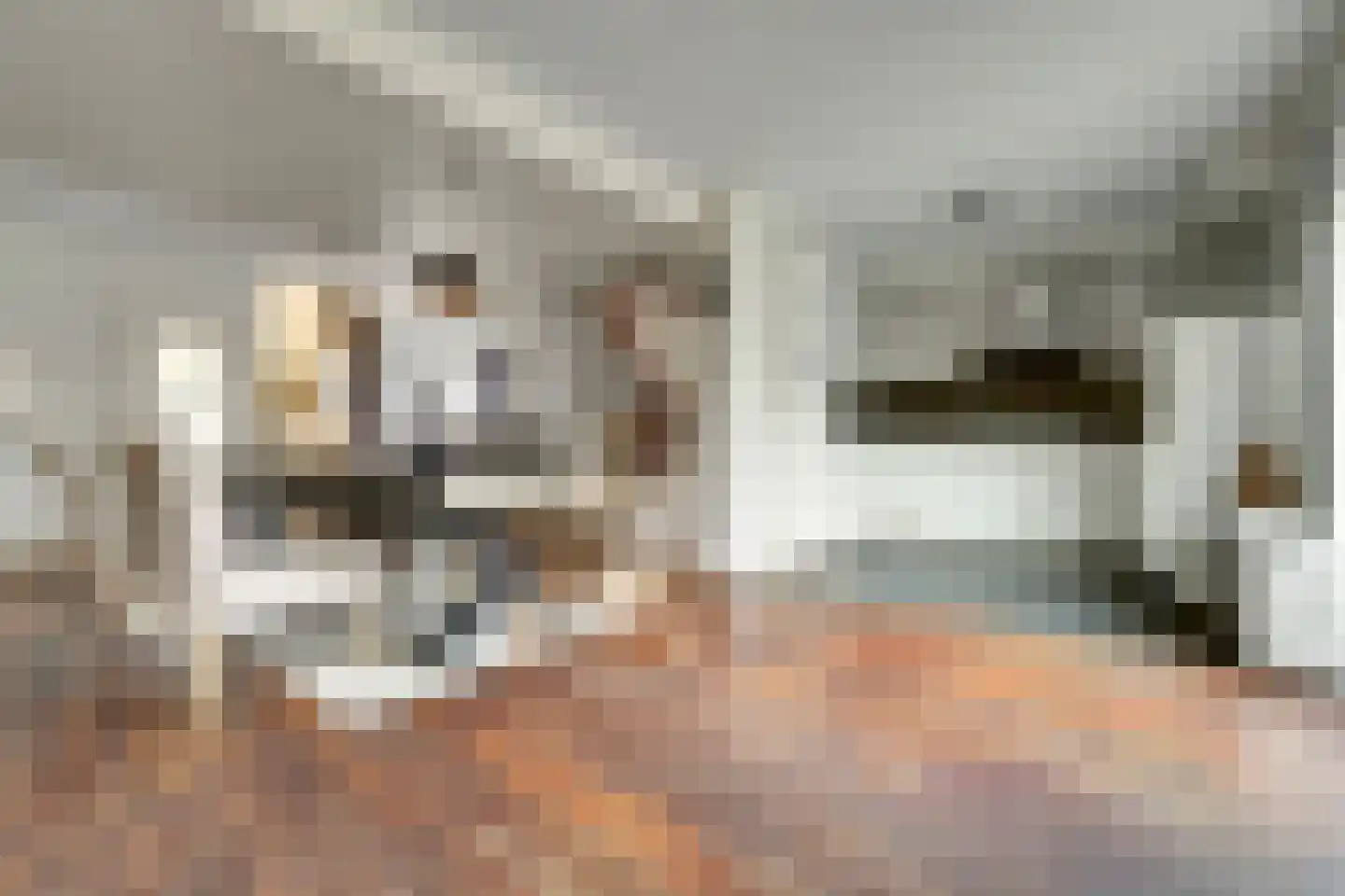 De Gagelaar 7 Kapelle thumbnail 14