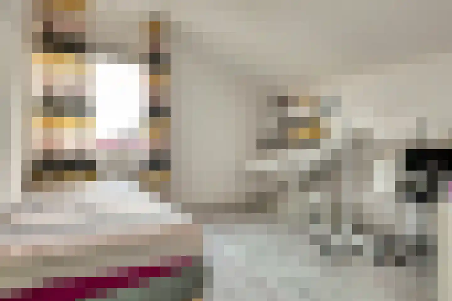 De Gagelaar 7 Kapelle thumbnail 26