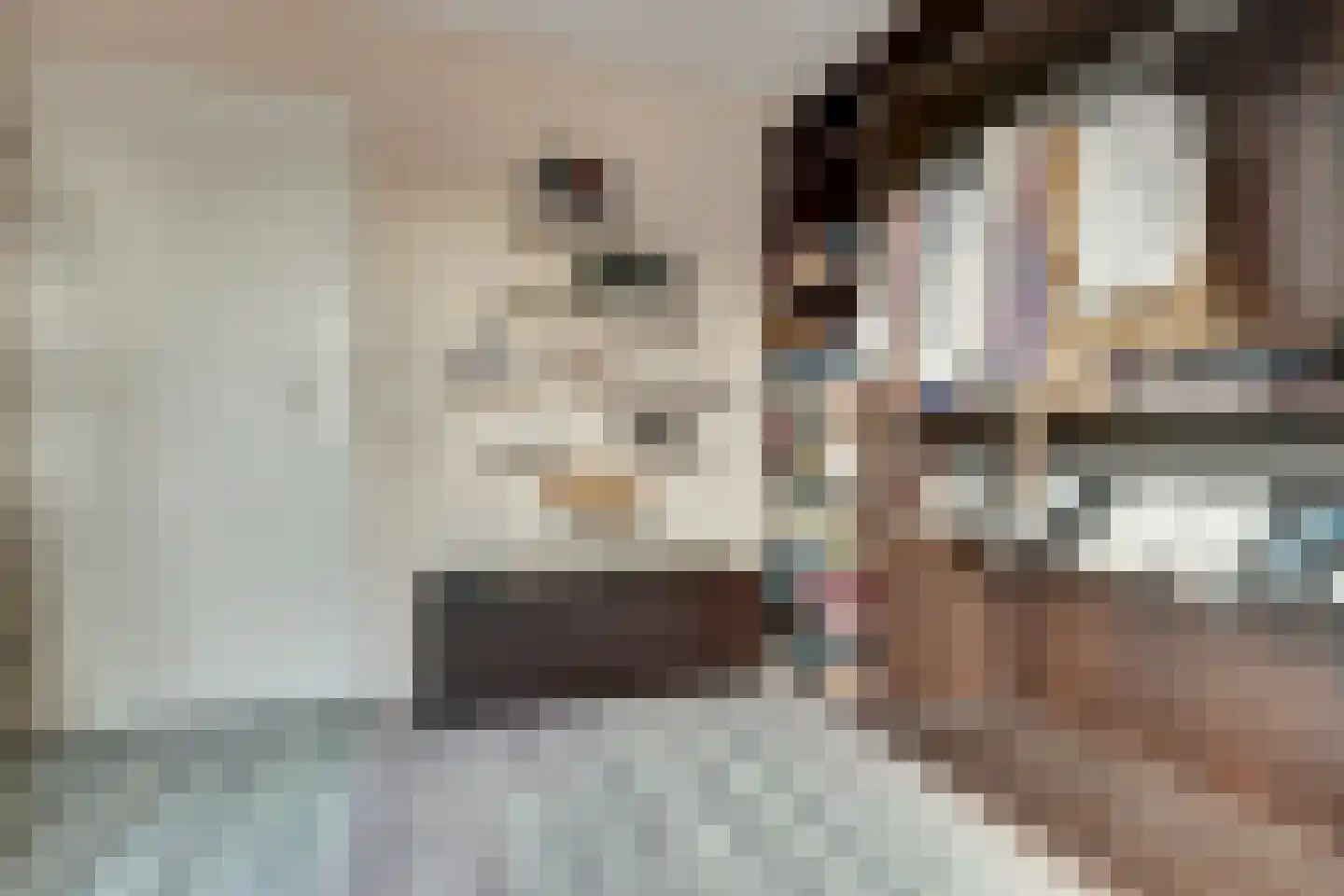 De Gagelaar 7 Kapelle thumbnail 28