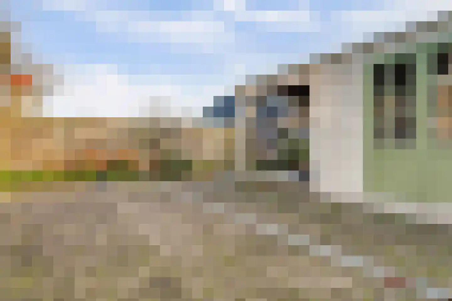 De Gagelaar 7 Kapelle thumbnail 37