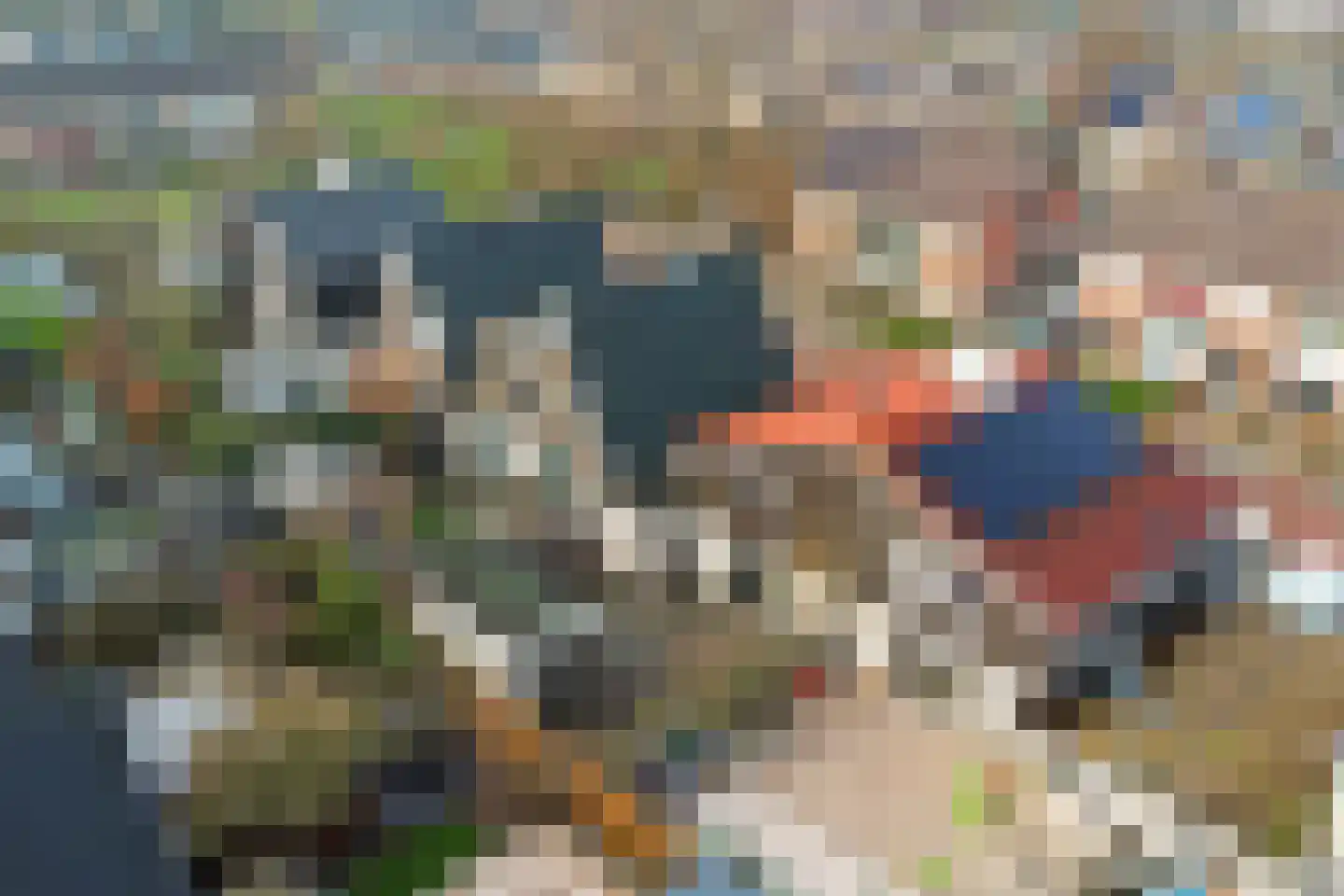 De Gagelaar 7 Kapelle thumbnail 39