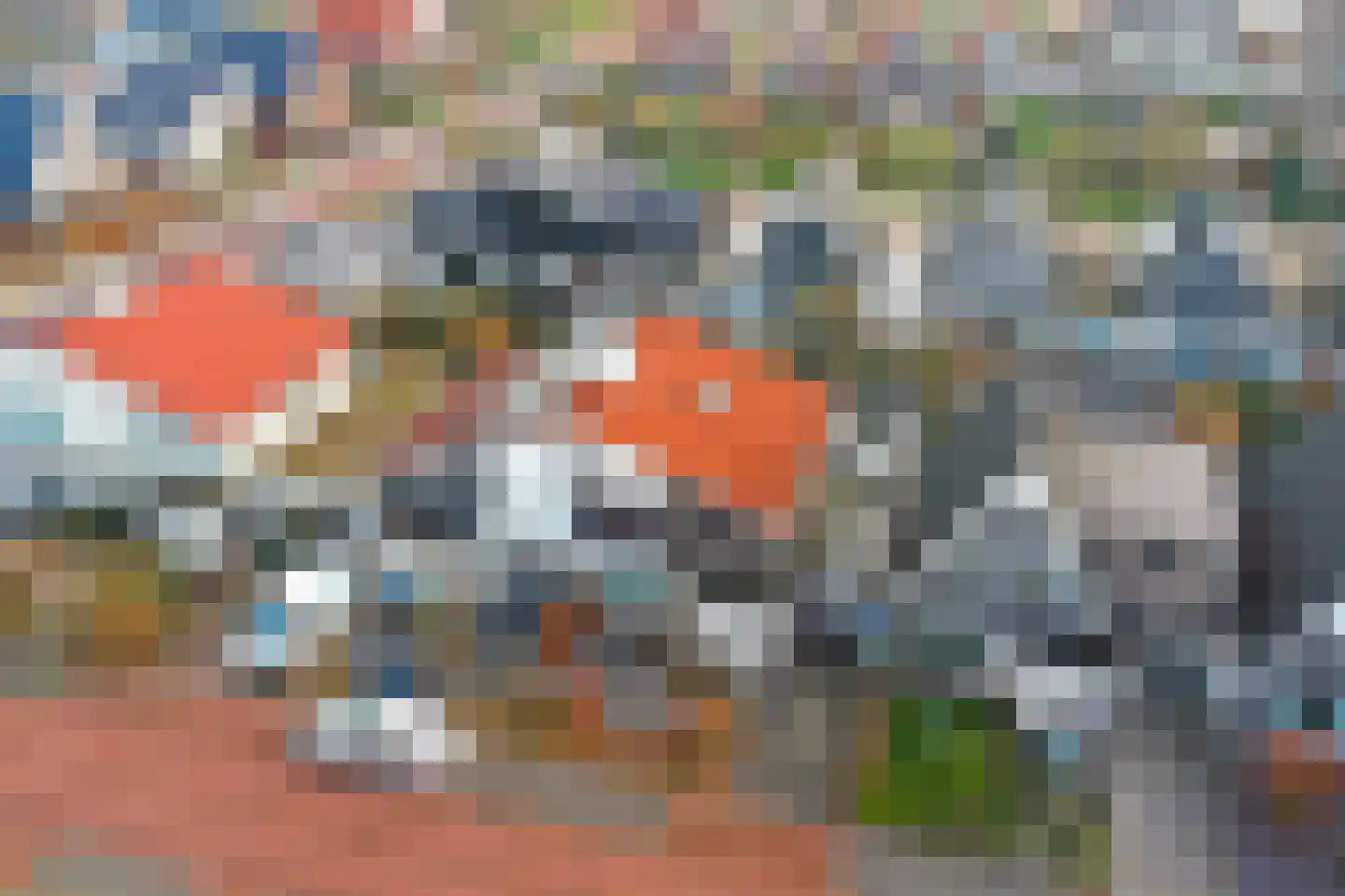 De Gagelaar 7 Kapelle thumbnail 44