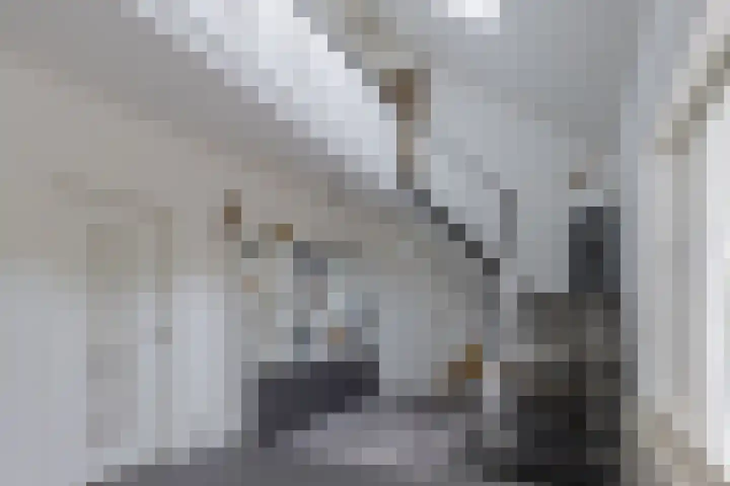 De Gagelpol 1 Drachten thumbnail 16