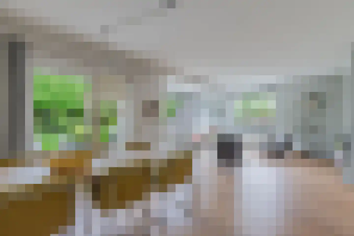 De Gagelpol 1 Drachten thumbnail 17