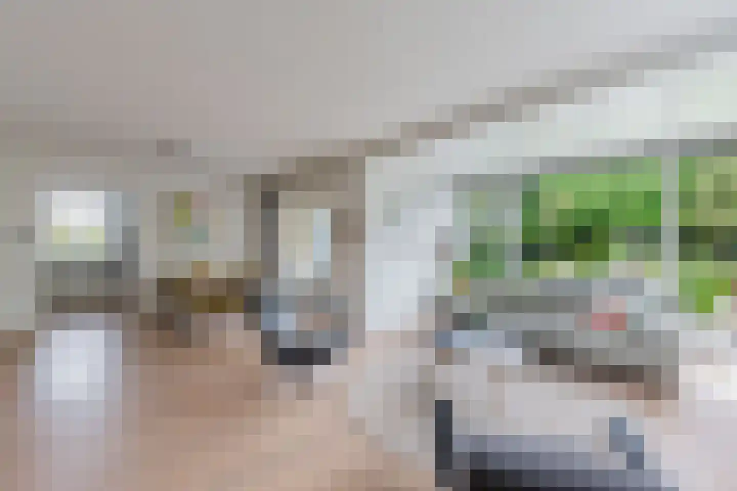 De Gagelpol 1 Drachten thumbnail 18