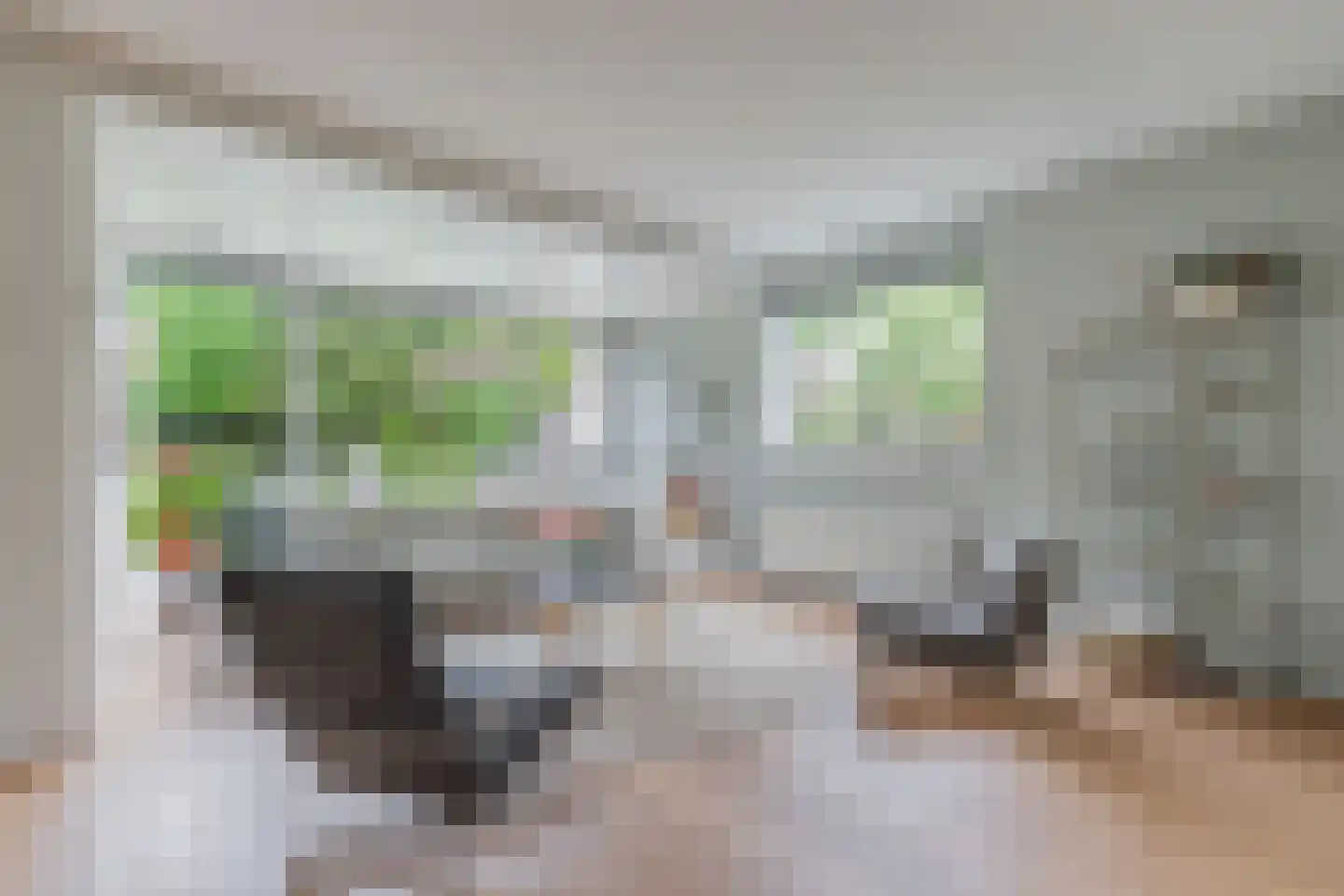 De Gagelpol 1 Drachten thumbnail 19