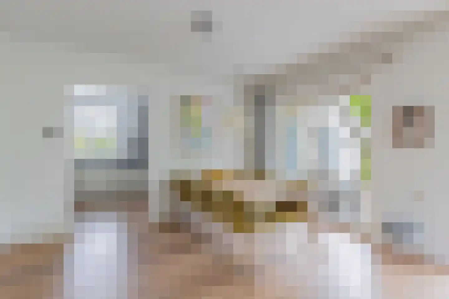 De Gagelpol 1 Drachten thumbnail 26