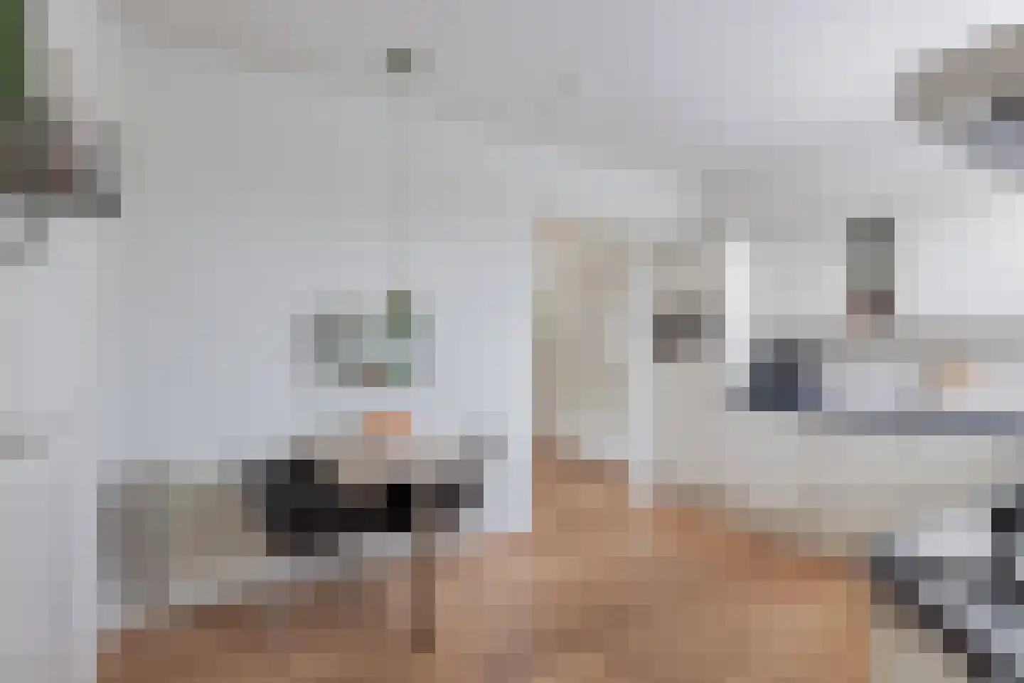 De Gagelpol 1 Drachten thumbnail 27