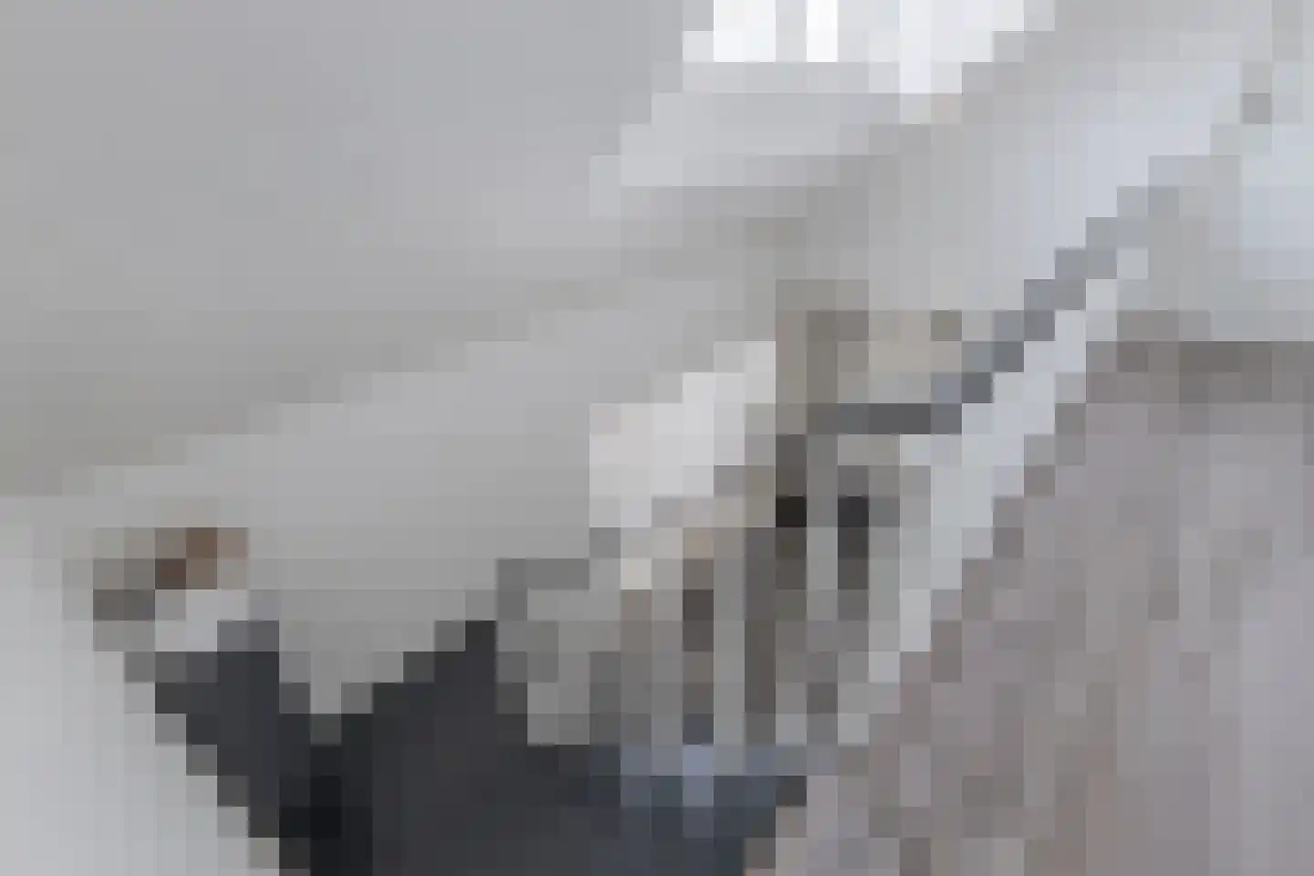 De Gagelpol 1 Drachten thumbnail 33