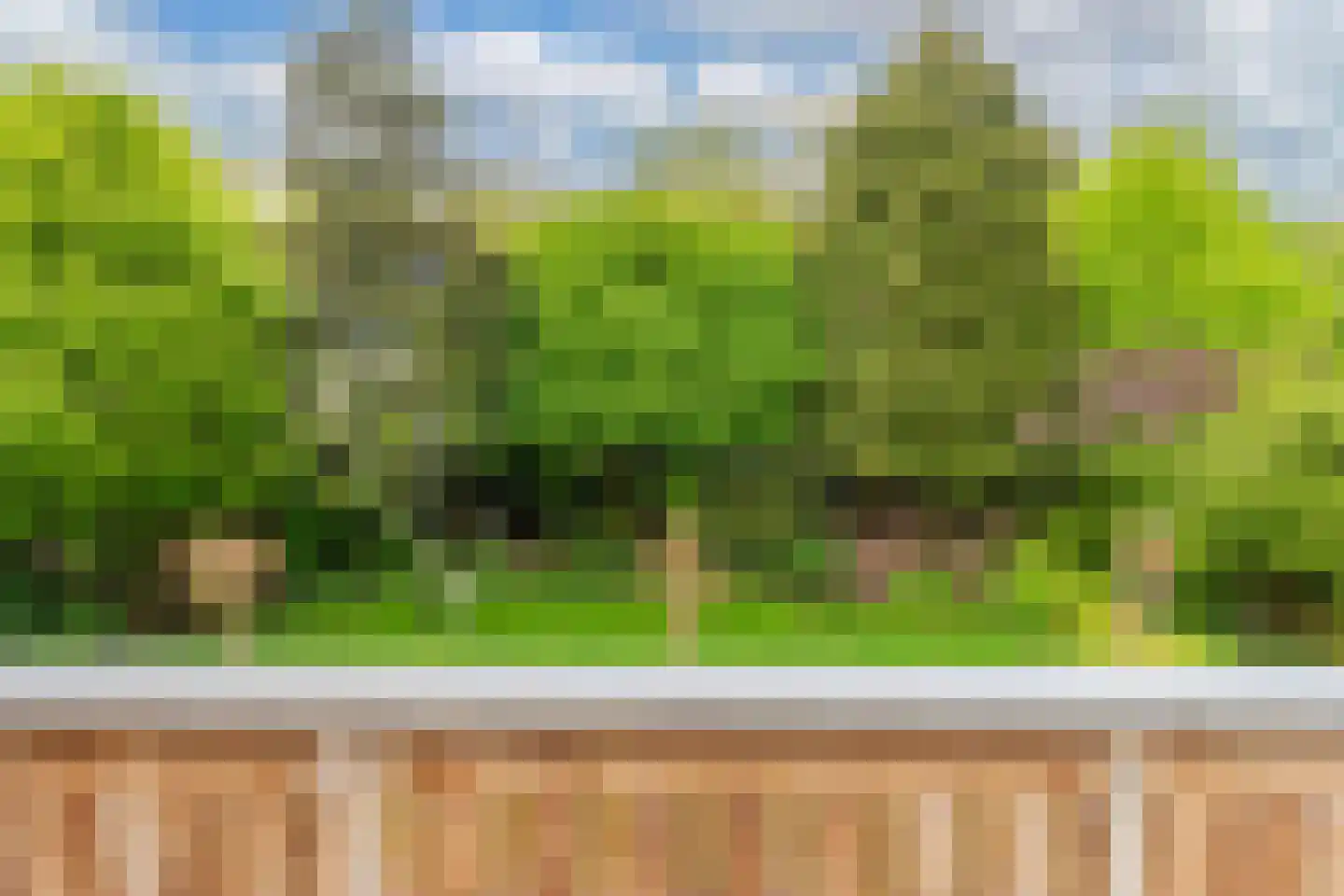 De Gagelpol 1 Drachten thumbnail 39