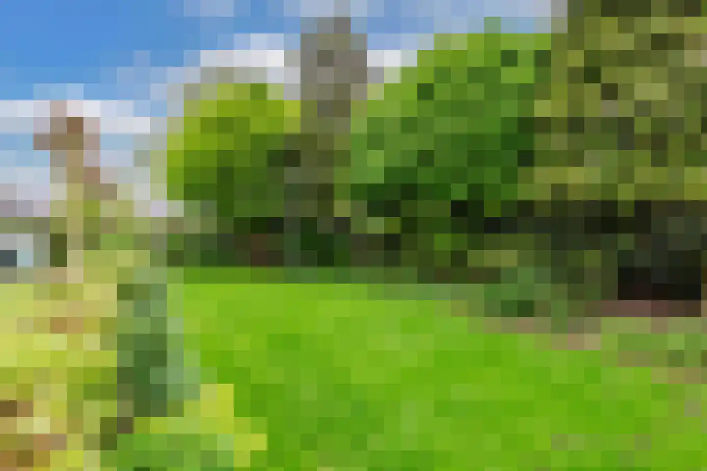 De Gagelpol 1 Drachten thumbnail 4