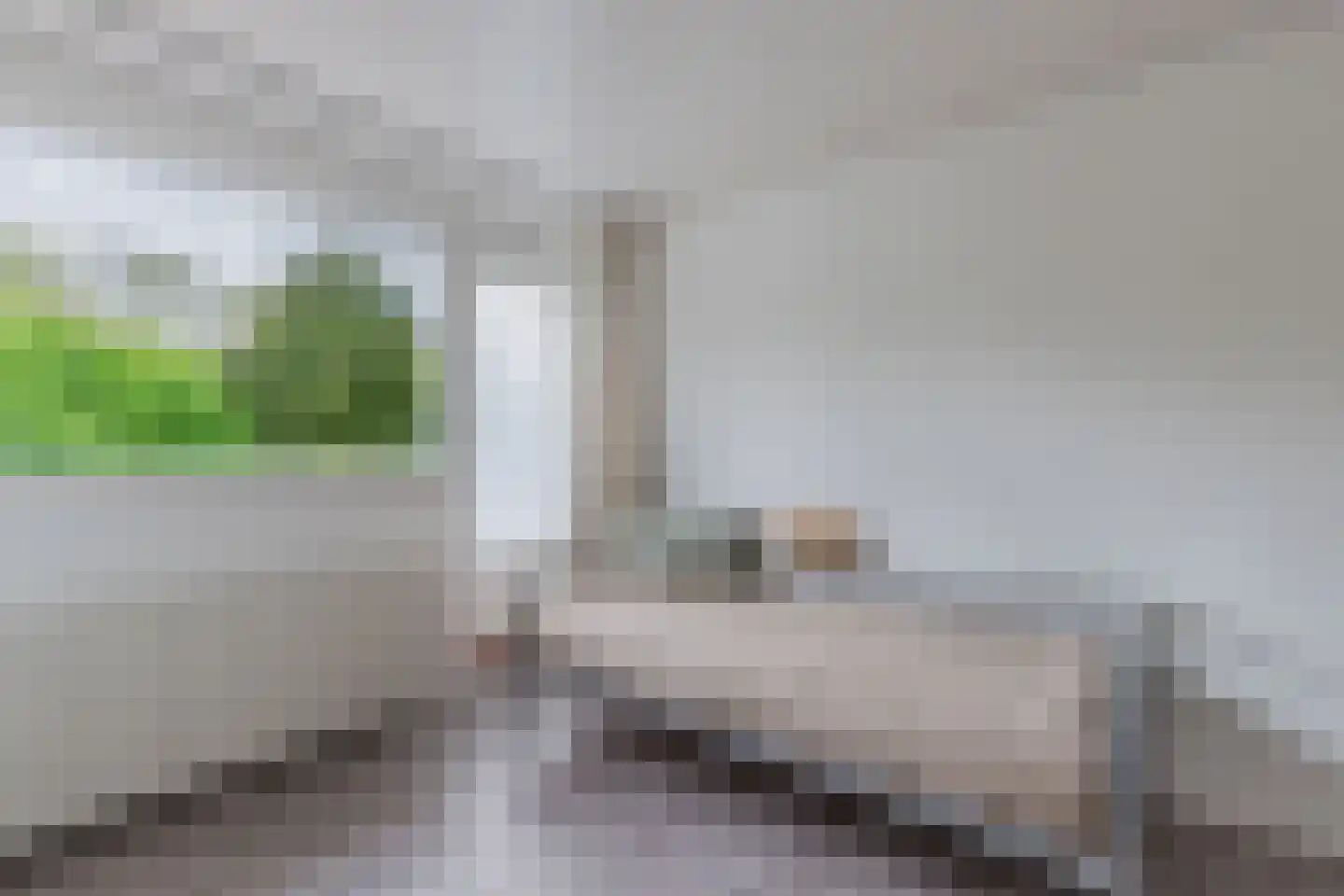 De Gagelpol 1 Drachten thumbnail 41