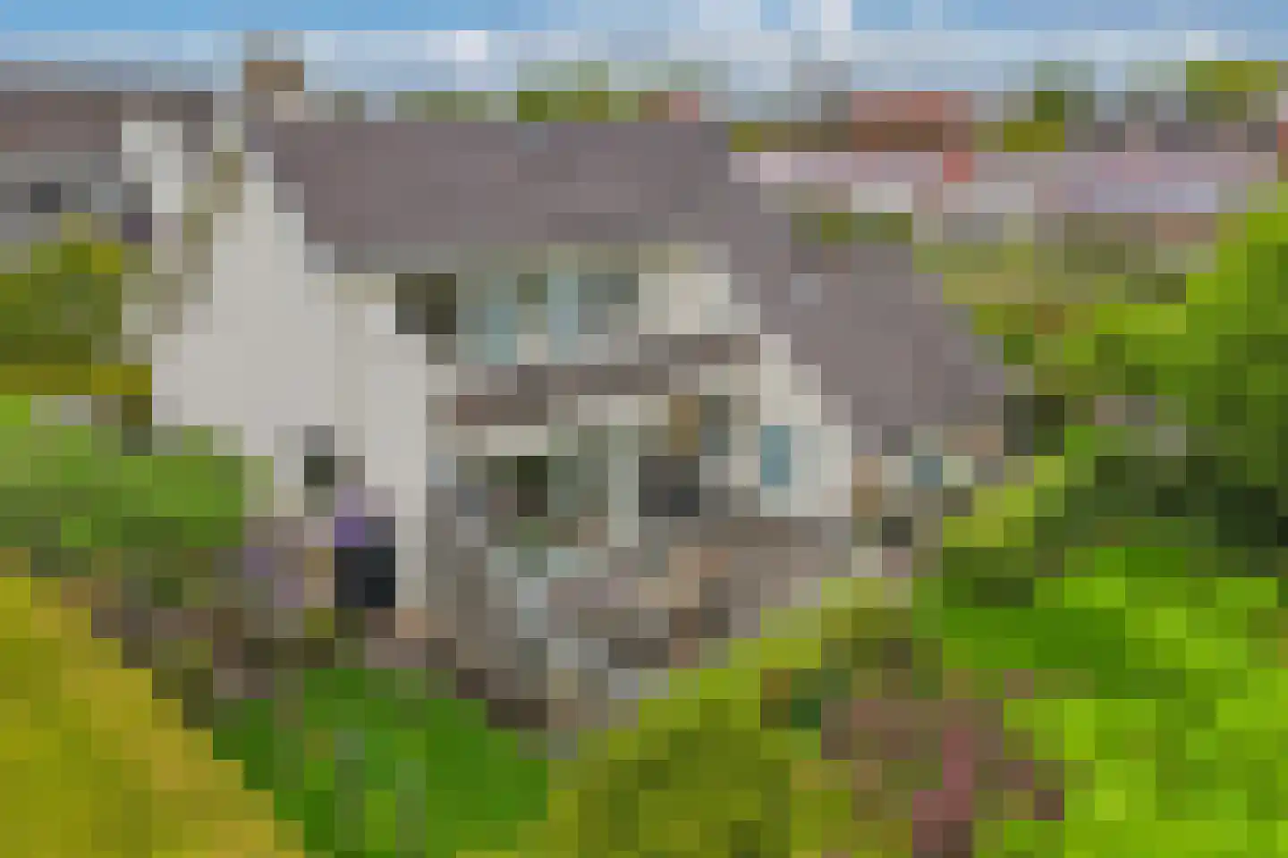 De Gagelpol 1 Drachten thumbnail 53