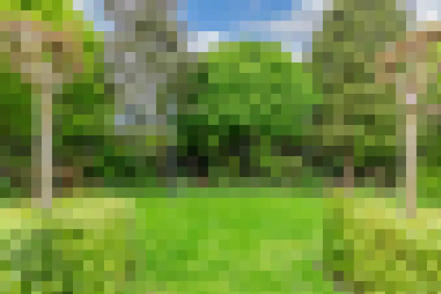 De Gagelpol 1 Drachten thumbnail 55