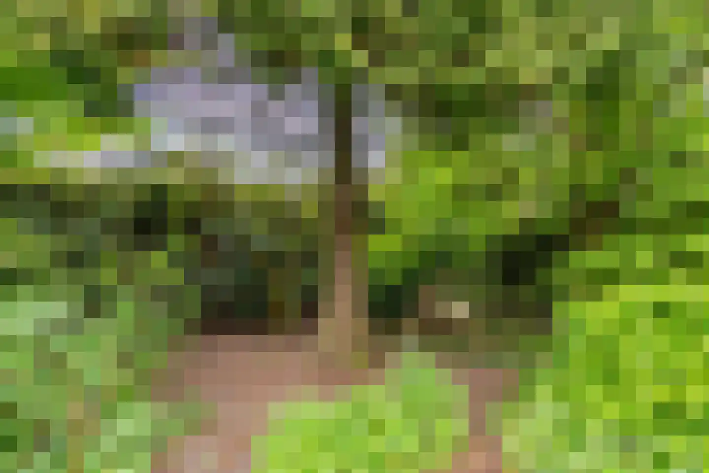 De Gagelpol 1 Drachten thumbnail 56