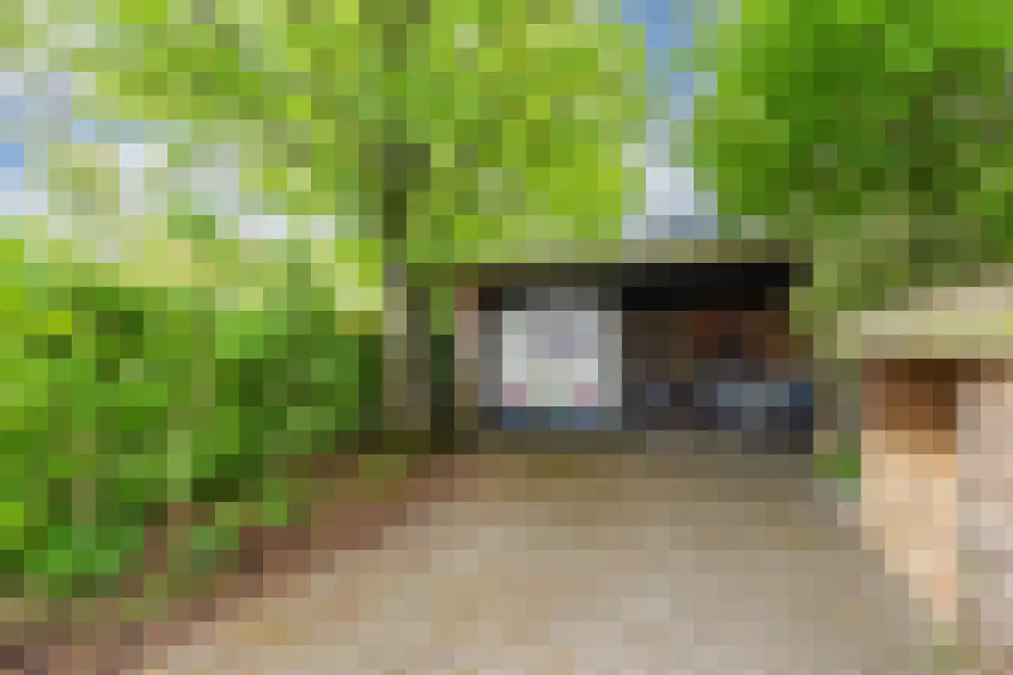 De Gagelpol 1 Drachten thumbnail 63