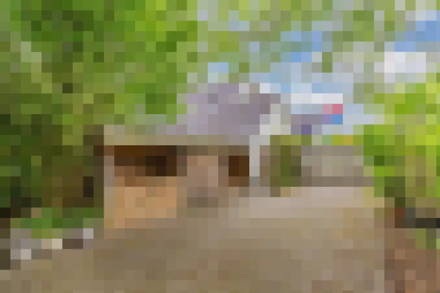 De Gagelpol 1 Drachten thumbnail 64