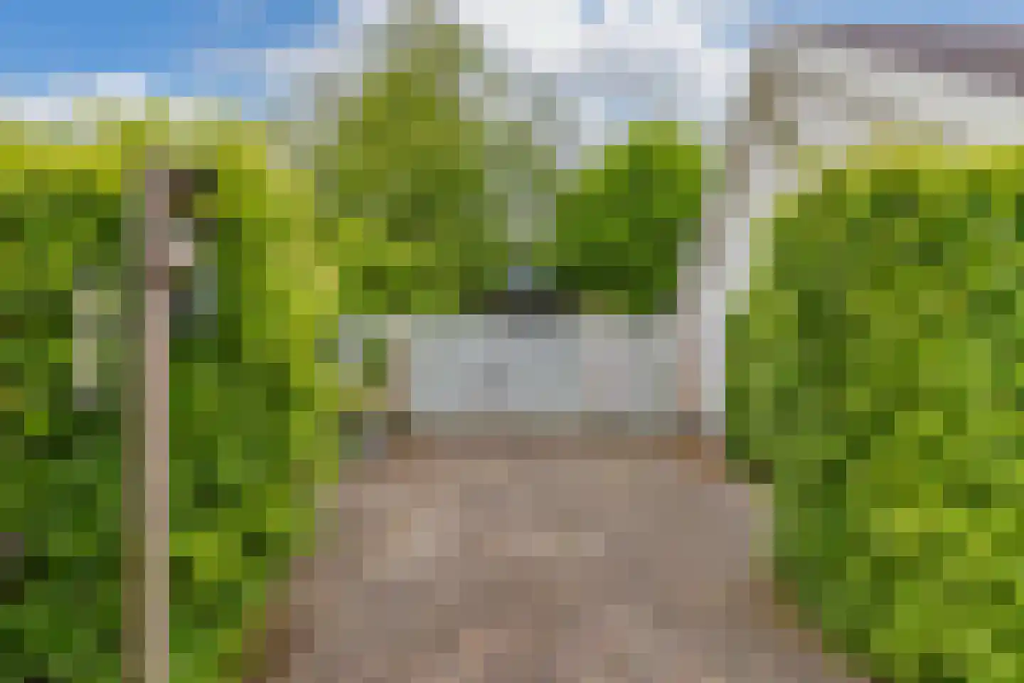 De Gagelpol 1 Drachten thumbnail 65
