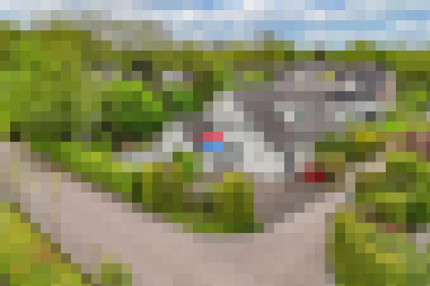 De Gagelpol 1 Drachten thumbnail 69