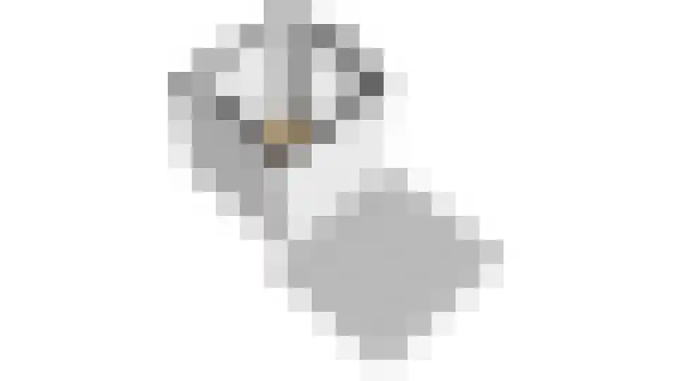 De Gagelpol 1 Drachten thumbnail 77