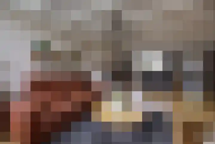 de Gagelrijzen 16 St. Willebrord thumbnail 10
