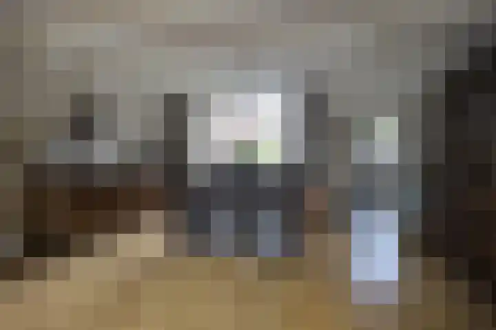 de Gagelrijzen 16 St. Willebrord thumbnail 11
