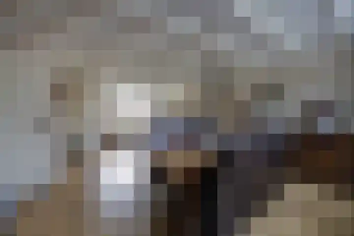 de Gagelrijzen 16 St. Willebrord thumbnail 12