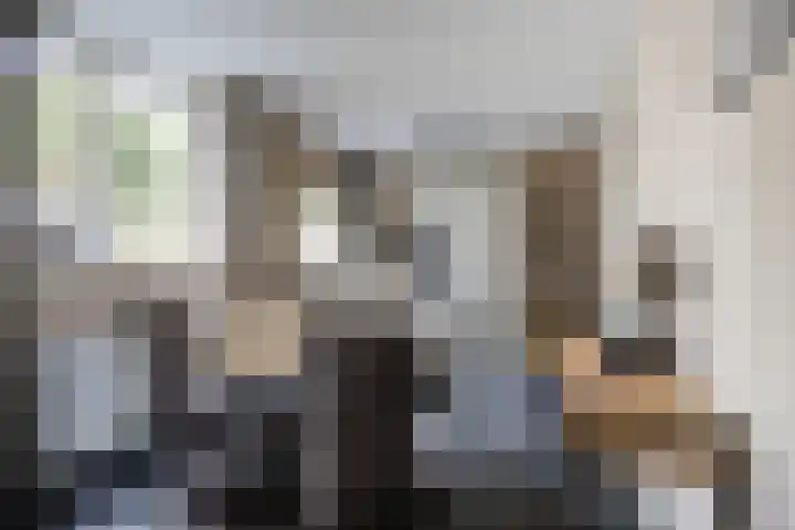 de Gagelrijzen 16 St. Willebrord thumbnail 15