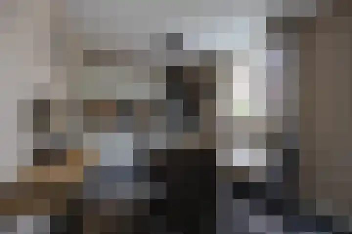 de Gagelrijzen 16 St. Willebrord thumbnail 16