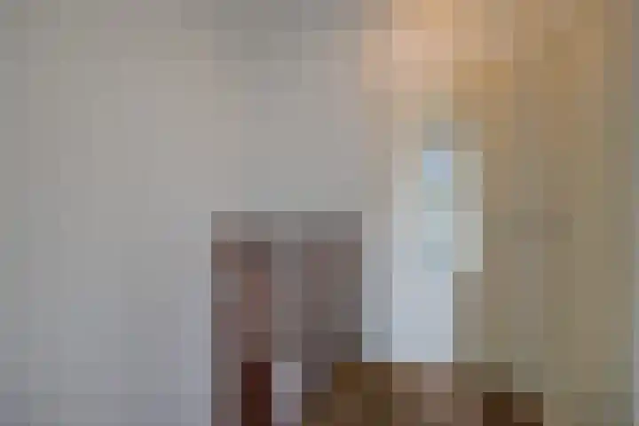 de Gagelrijzen 16 St. Willebrord thumbnail 18