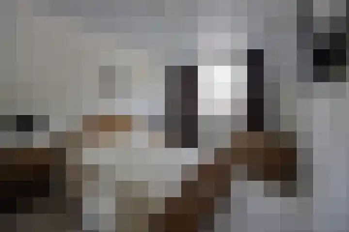 de Gagelrijzen 16 St. Willebrord thumbnail 19