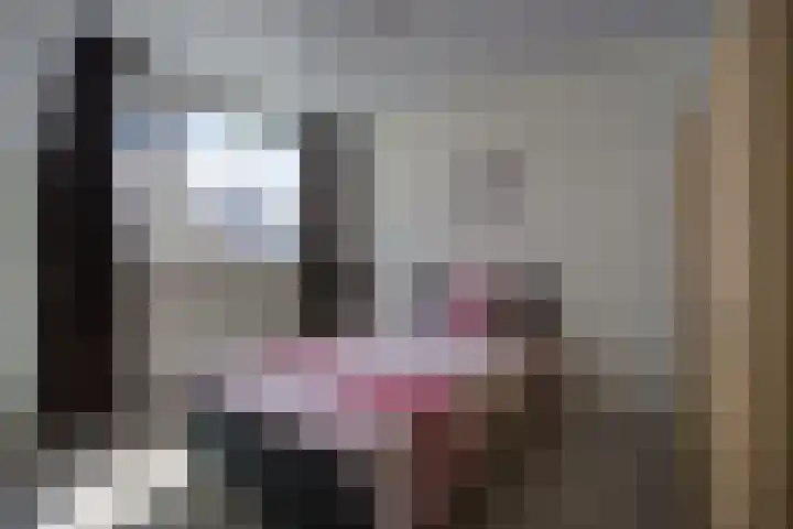 de Gagelrijzen 16 St. Willebrord thumbnail 20