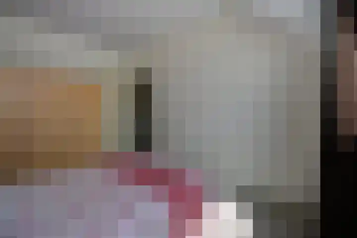 de Gagelrijzen 16 St. Willebrord thumbnail 21