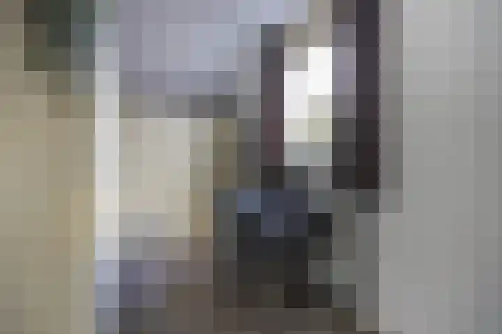 de Gagelrijzen 16 St. Willebrord thumbnail 22