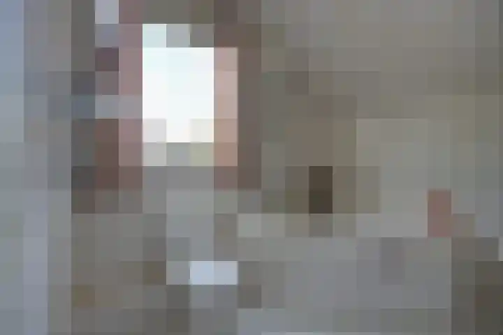 de Gagelrijzen 16 St. Willebrord thumbnail 24
