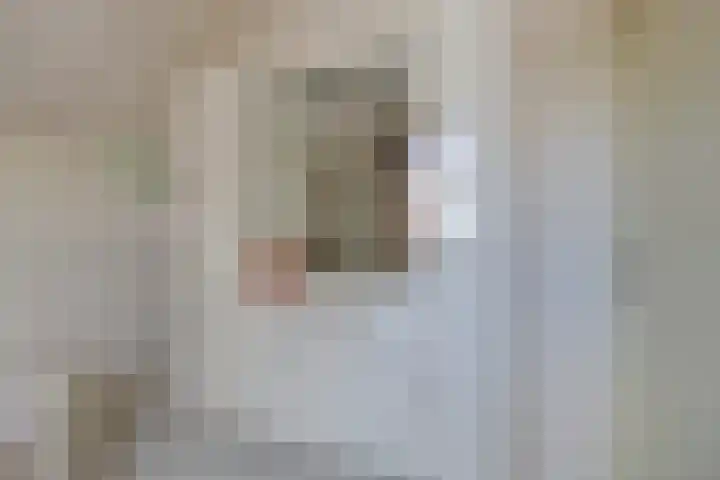 de Gagelrijzen 16 St. Willebrord thumbnail 25