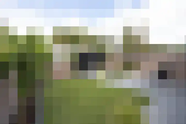 de Gagelrijzen 16 St. Willebrord thumbnail 27