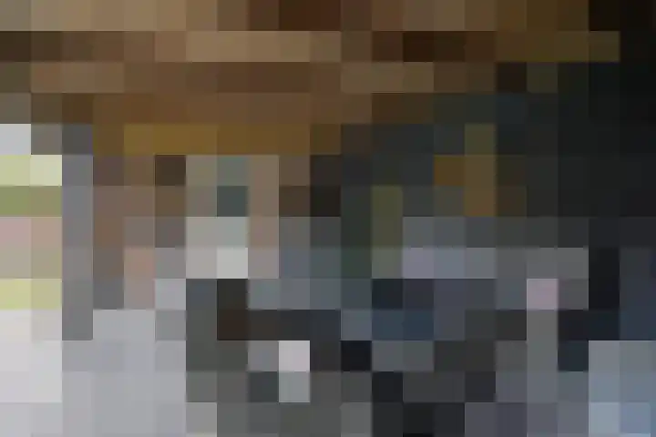 de Gagelrijzen 16 St. Willebrord thumbnail 29
