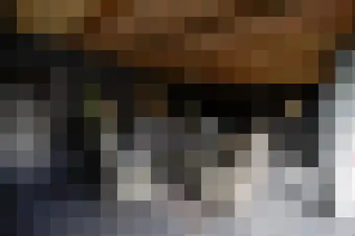 de Gagelrijzen 16 St. Willebrord thumbnail 30